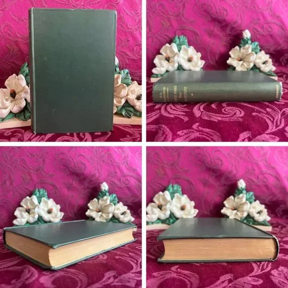 1910 Dutch Agnes: Her Valentine by W.G. Collingwood, Antique Book - Picture 2 of 10